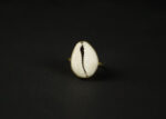 Bague avec un cauri