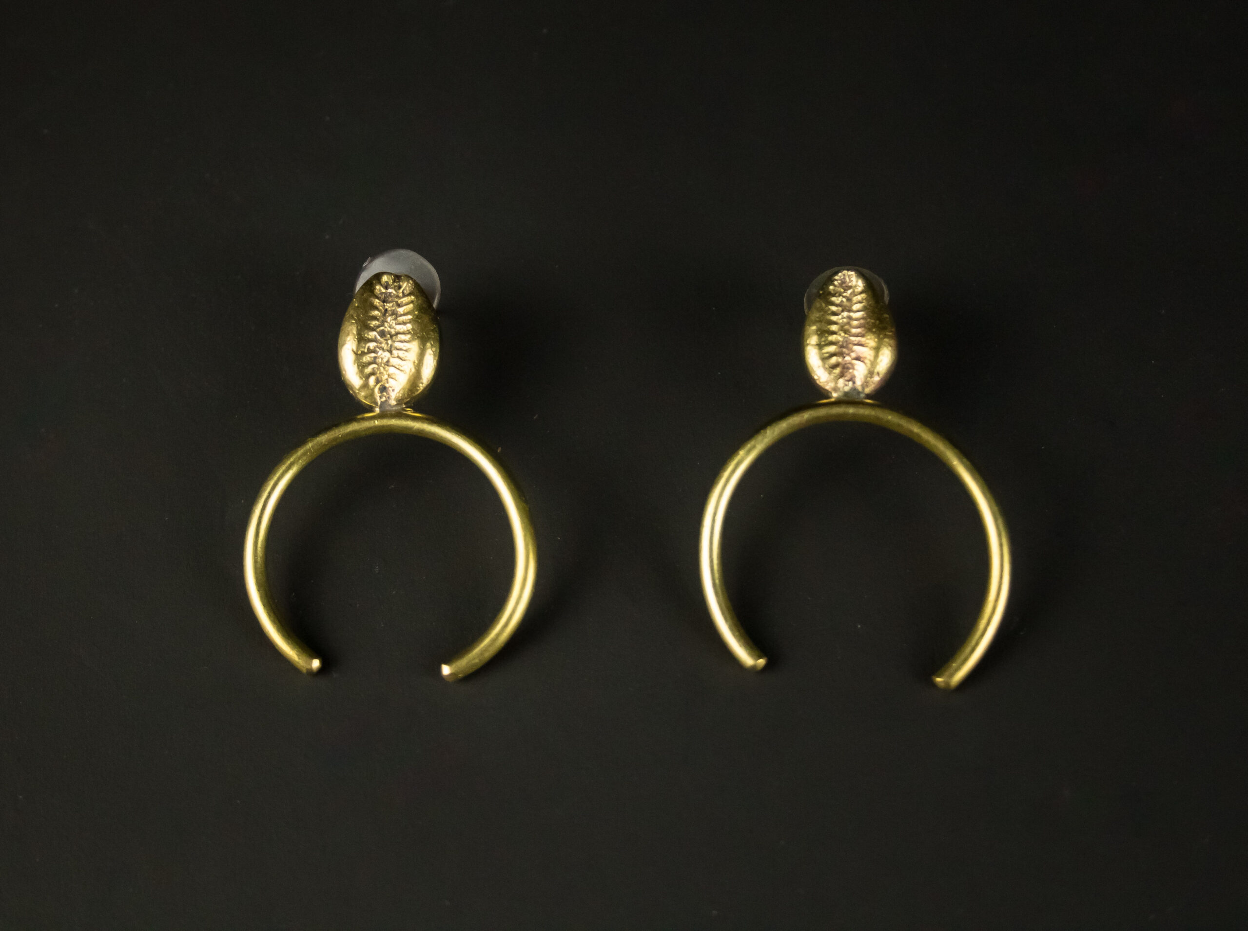 Coffret Auréole magique de Cauris