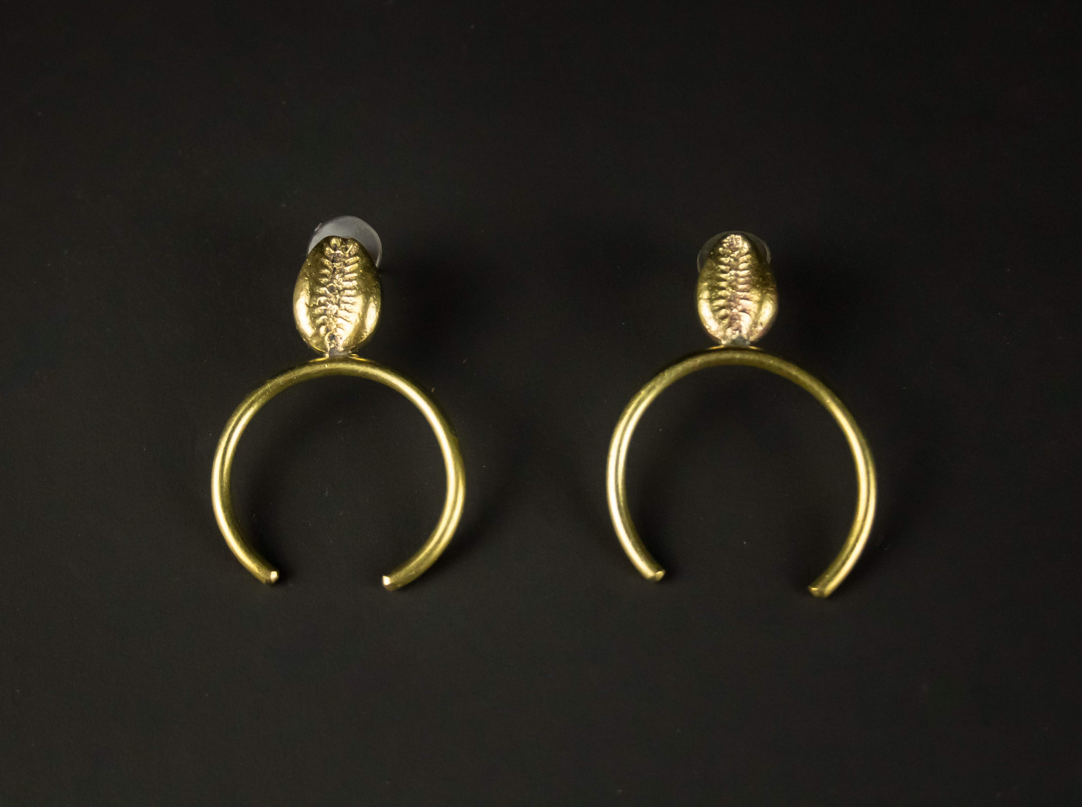 Coffret Auréole magique de Cauris